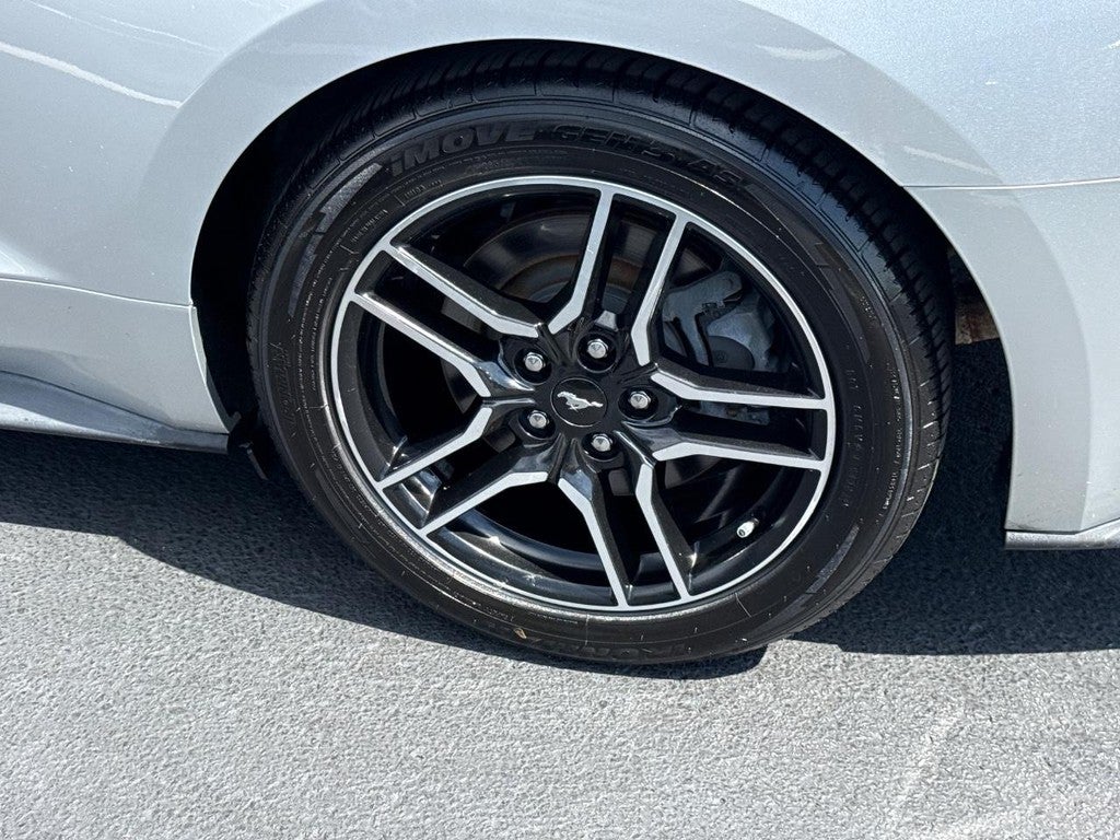 2019 Ford Mustang GT Premium Convertible