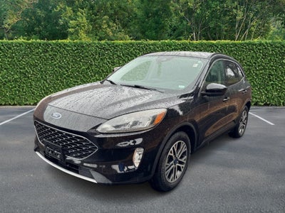 2020 Ford Escape SEL AWD