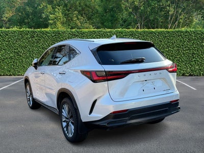 2022 Lexus NX NX 350h Luxury AWD