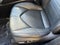 2021 Toyota Highlander XLE AWD (Natl)